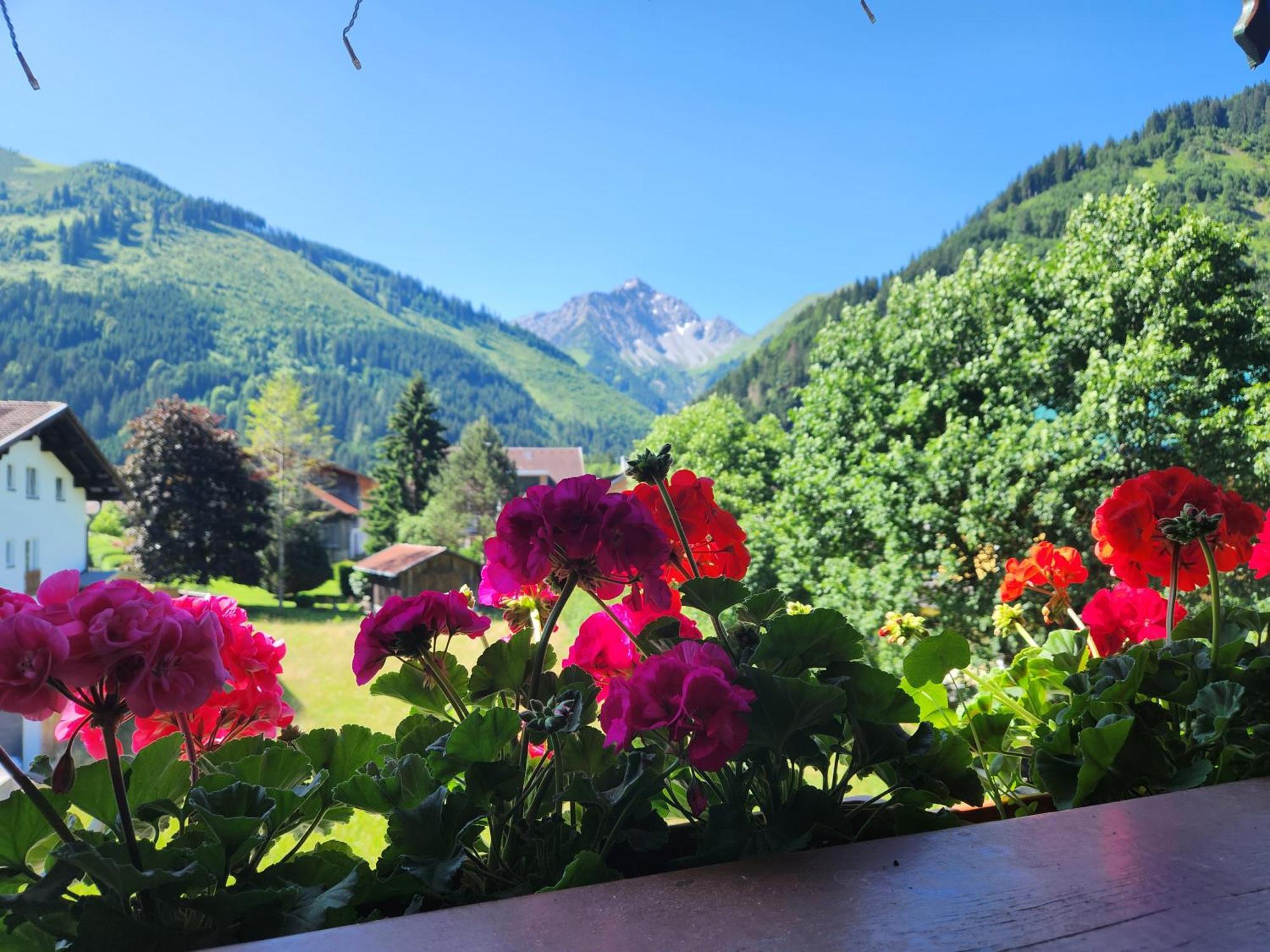 am Mühlbach - Pension Luttinger Bichlbach Exterior foto